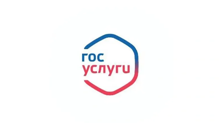 Фото предоставлено сайтом госуслуг