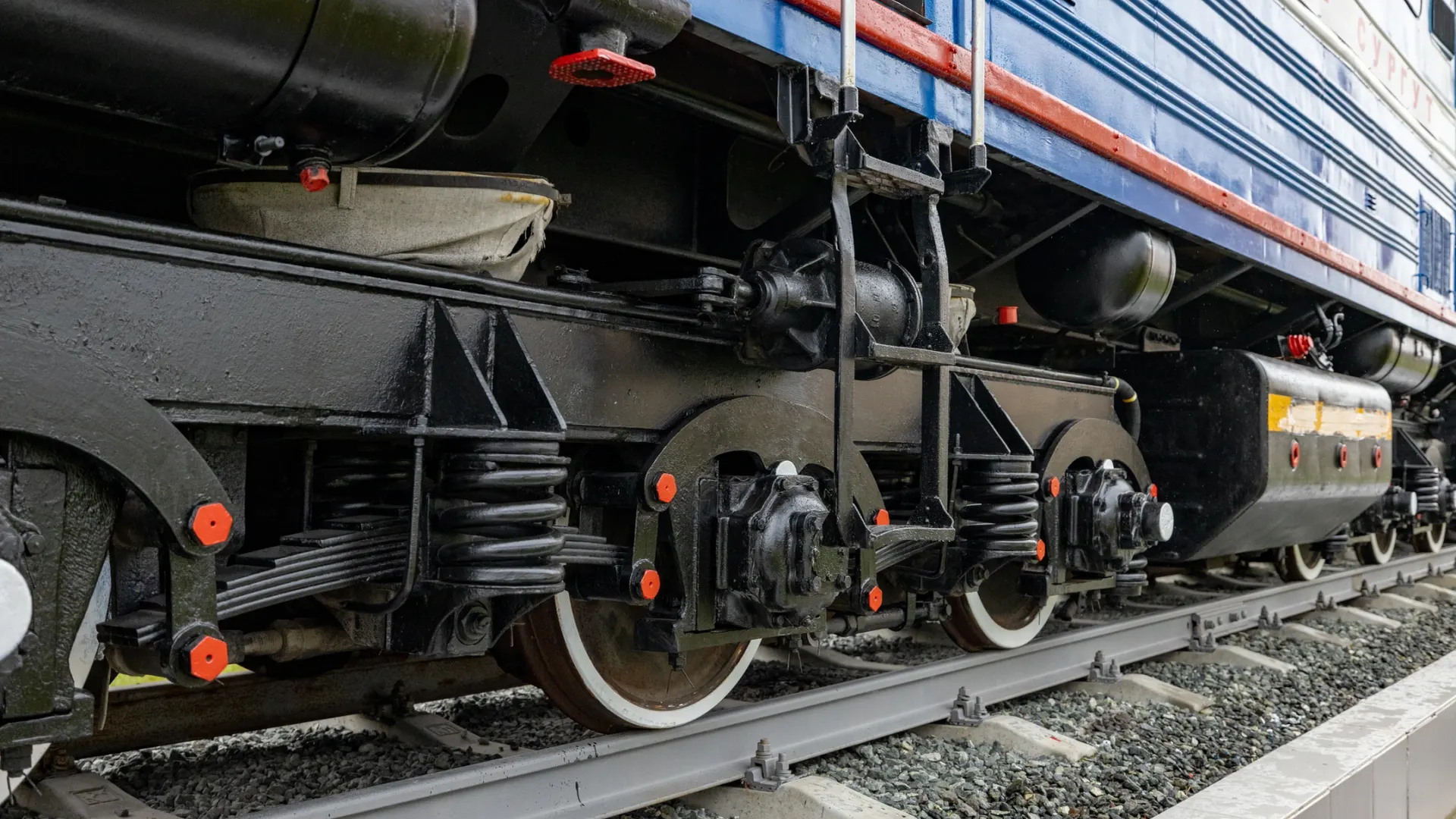 Фото: Сергей Зубков / «Ямал-Медиа»