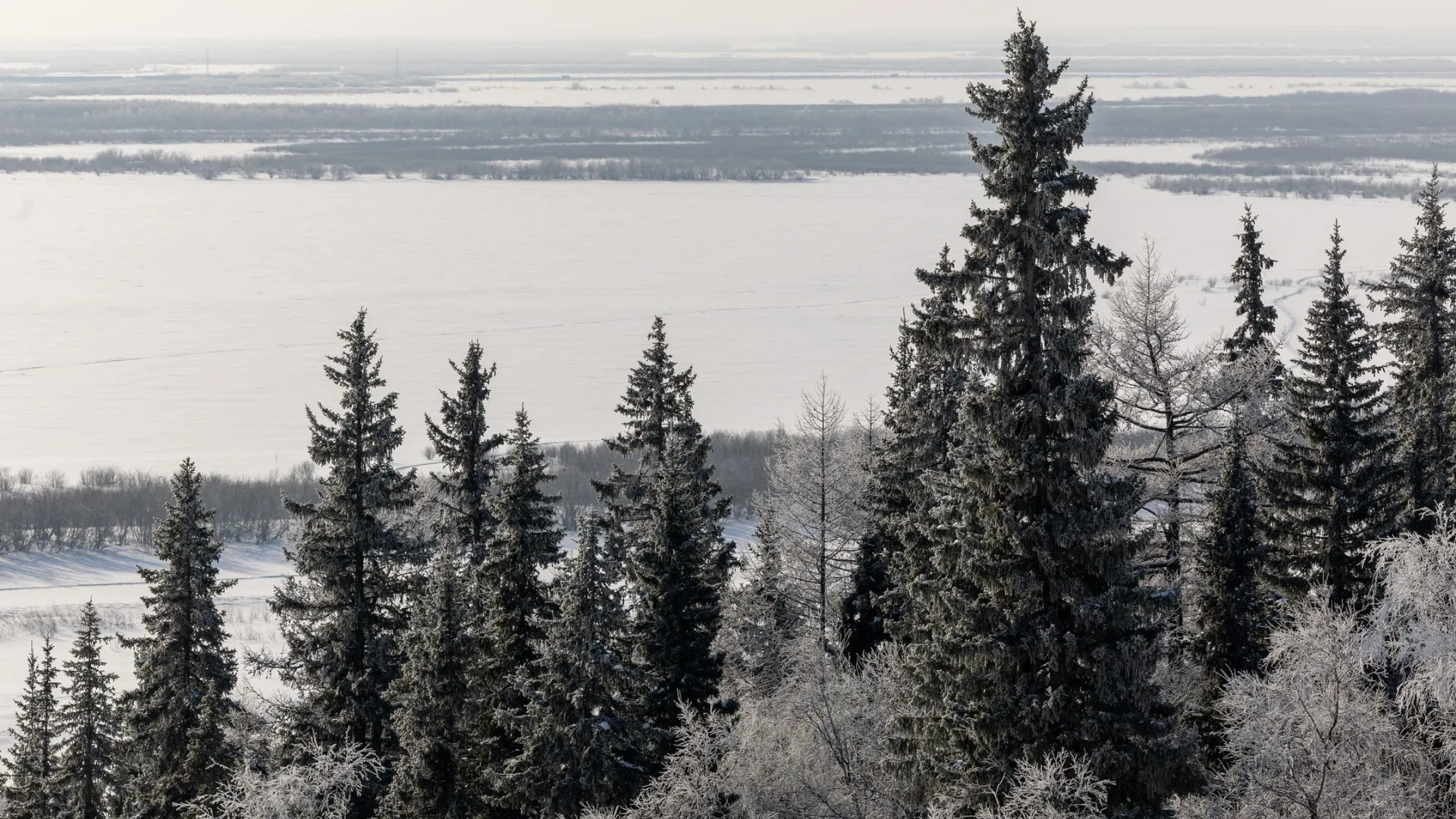 Фото: Александр Чирва / «Ямал-Медиа»