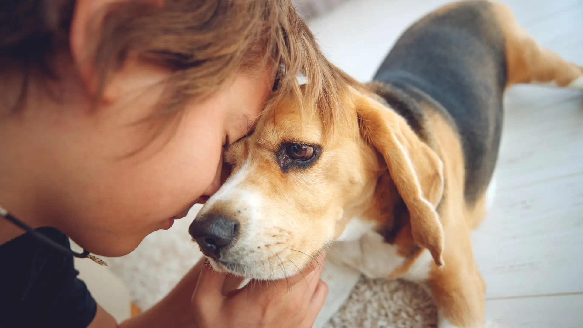 Фото: Nina Buday / Shutterstock / Fotodom