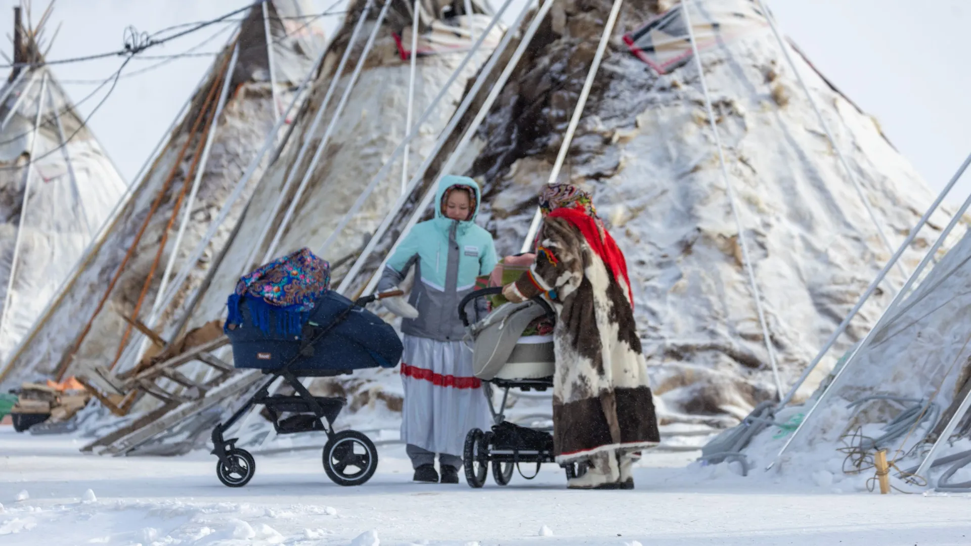 Фото: Федор Воронов / «Ямал-Медиа»
