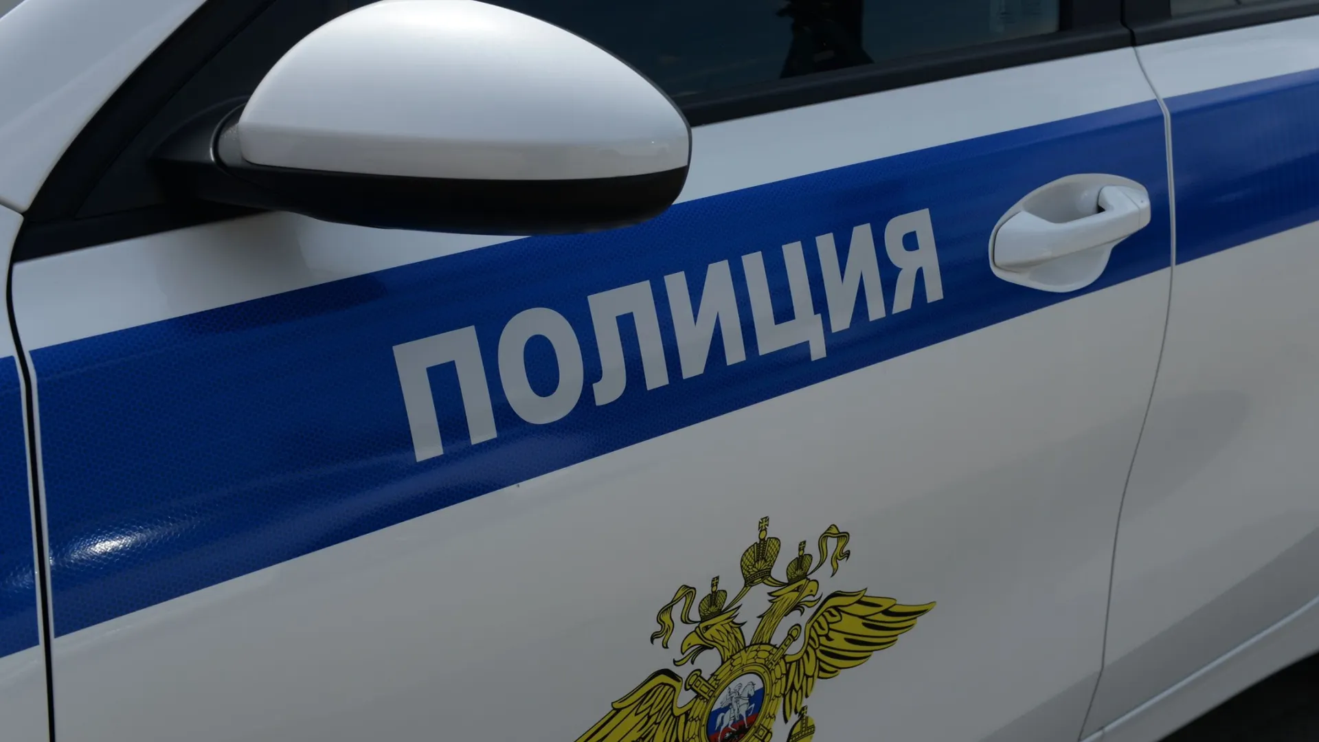 Фото: Free Wind 2014/ Shutterstock/ Fotodom