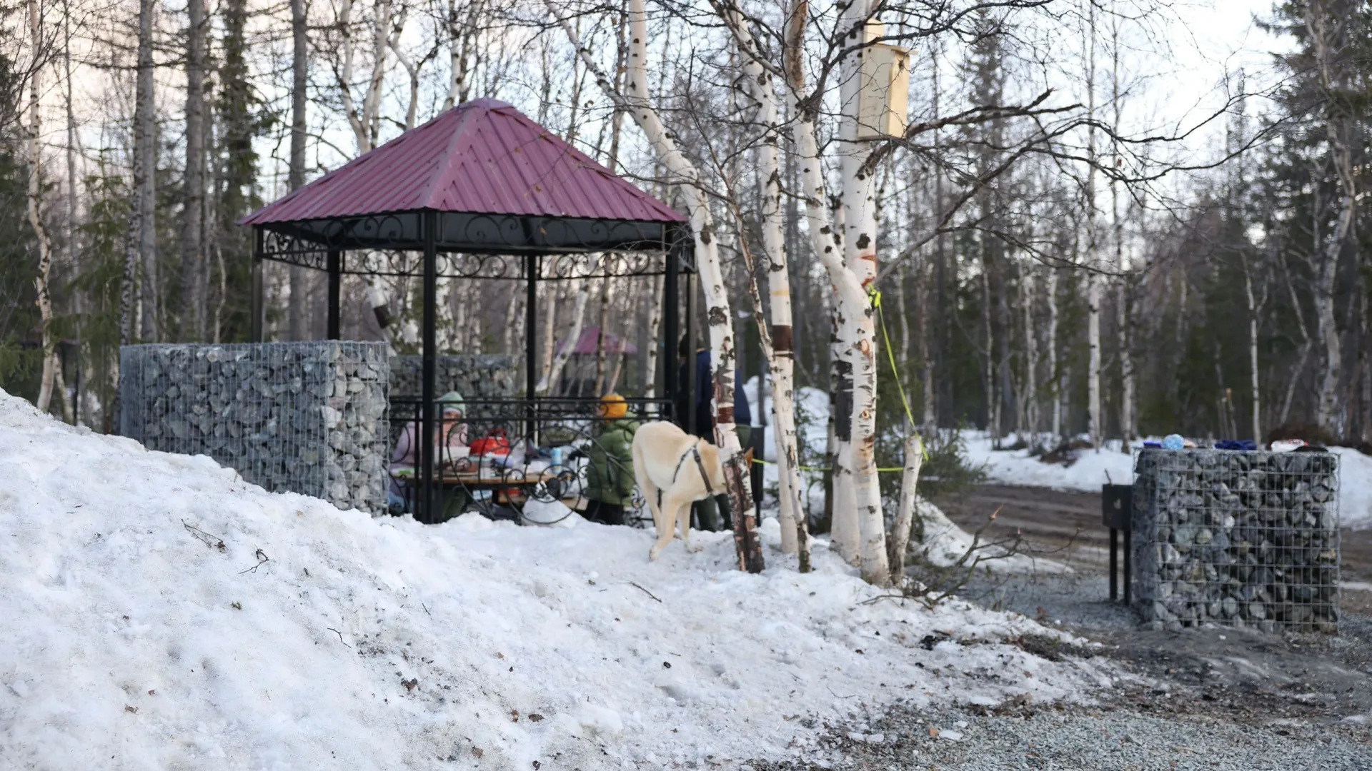 На Ямале создают специальные места для отдыха на природе. Фото: Андрей Ткачев / «Ямал-Медиа»