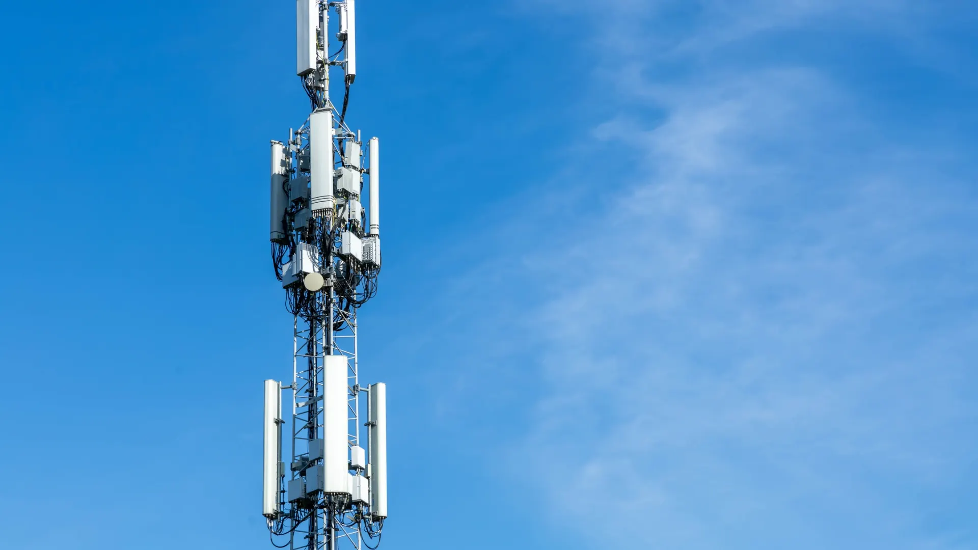 Фото: PixelBiss/Shutterstock/Fotodom