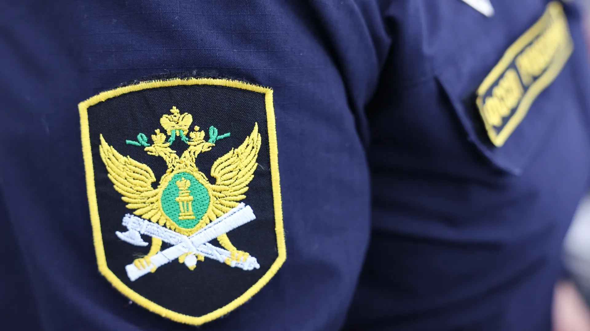 Фото: Андрей Ткачев / «Ямал-Медиа»