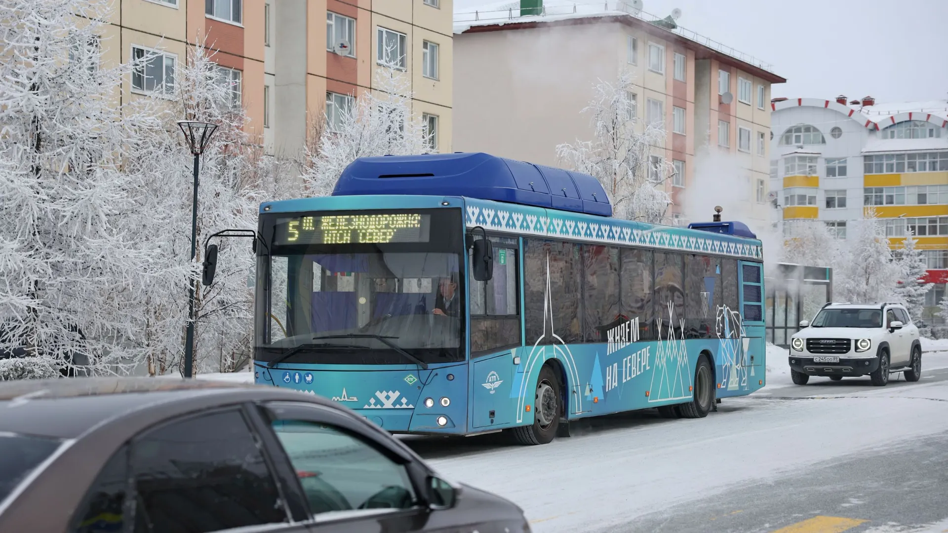 Фото: Андрей Ткачев / «Ямал-Медиа»