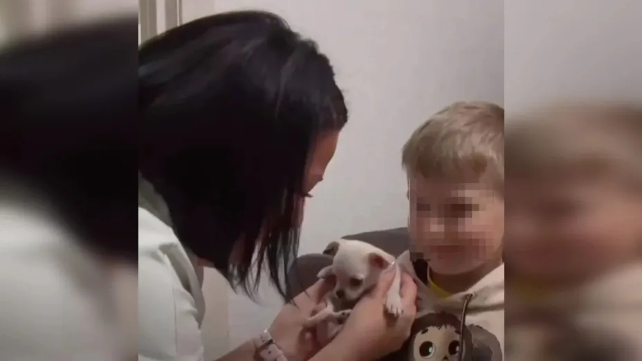 Фото: кадр из видео t.me/puradm