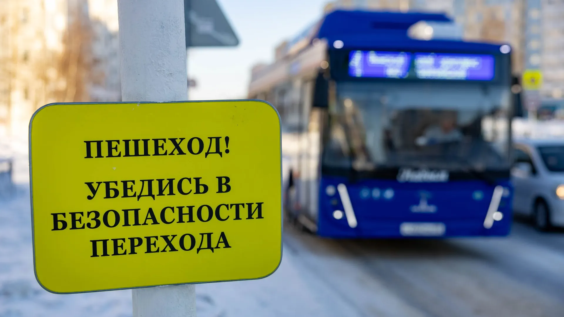 Фото: Александр Чирва / «Ямал-Медиа»