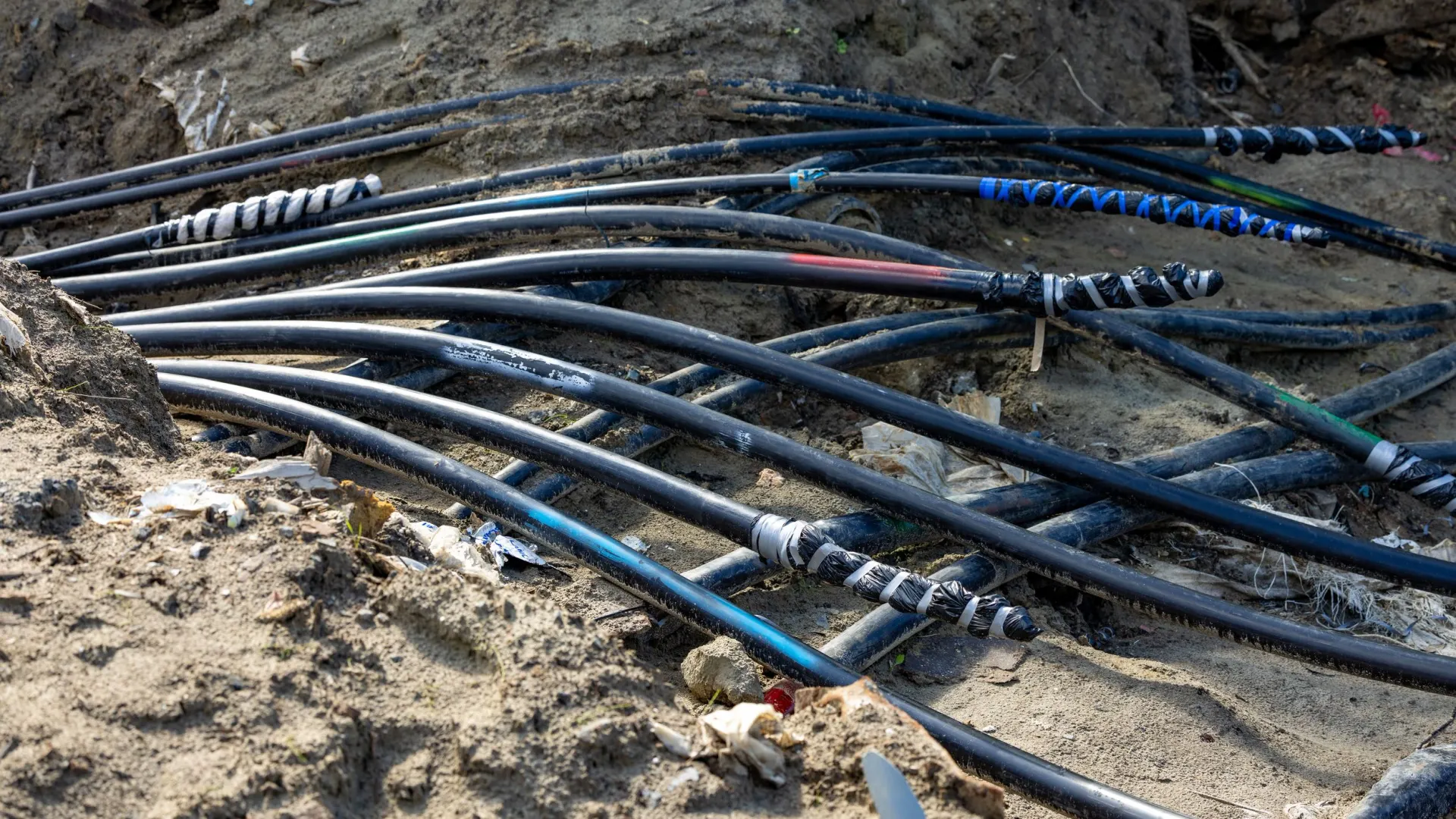 Фото: Федор Воронов / «Ямал-Медиа»