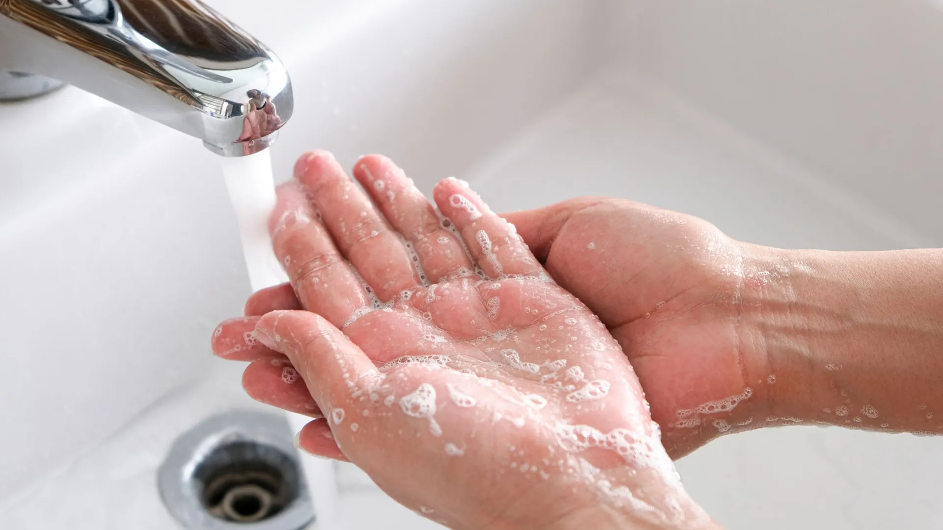 Фото: Me dia/Shutterstock/Fotodom