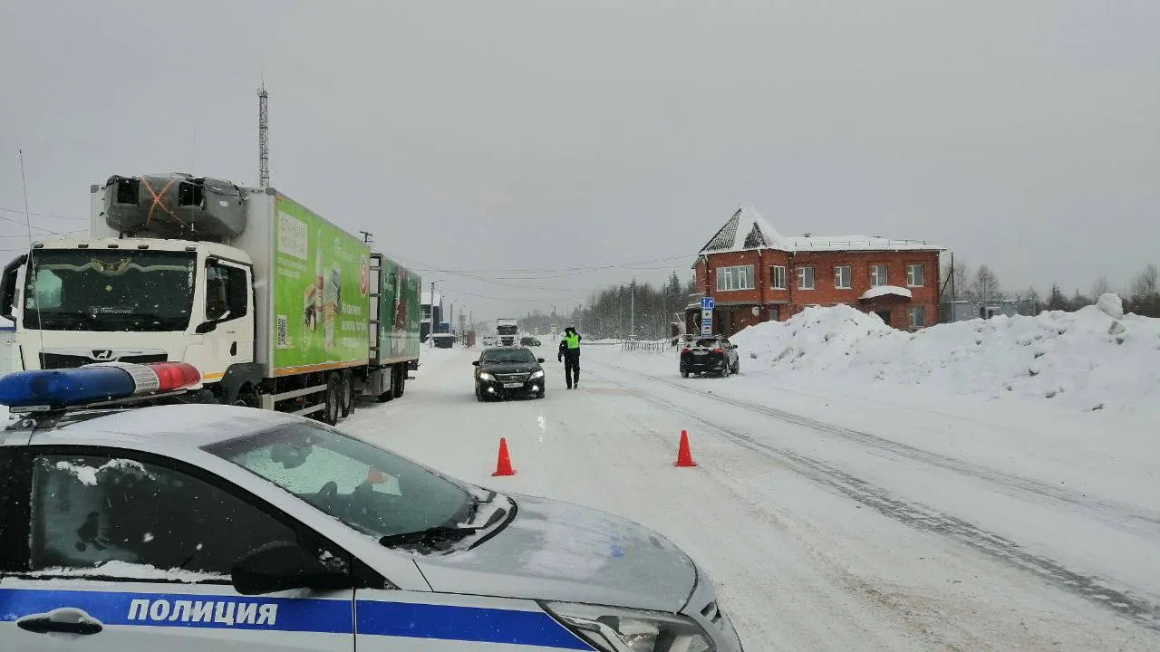 На Ямале из-за метели перекрыли движение на автодорогах. Фото предоставлено ОГИБДД ОМВД России по Ноябрьску