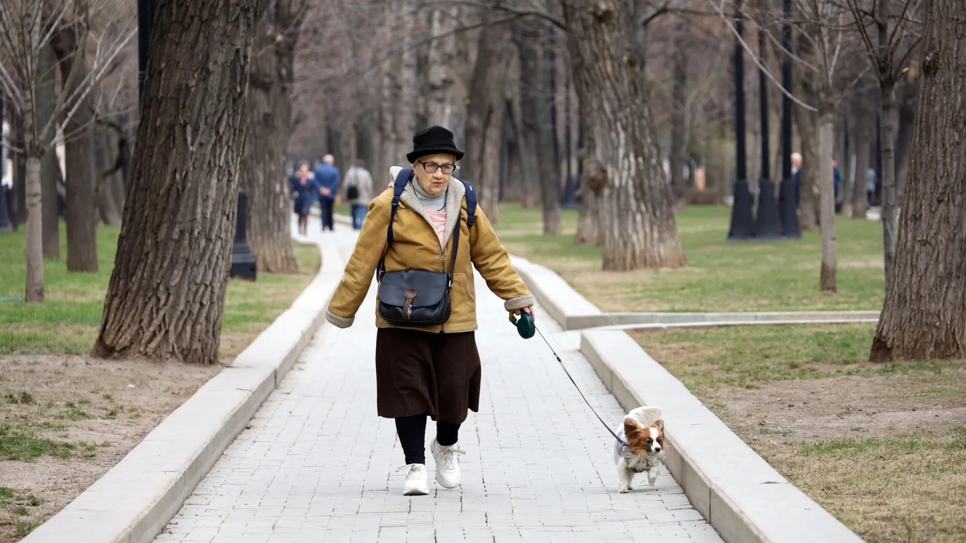 Фото: Oleg Elkov / Shutterstock / Fotodom