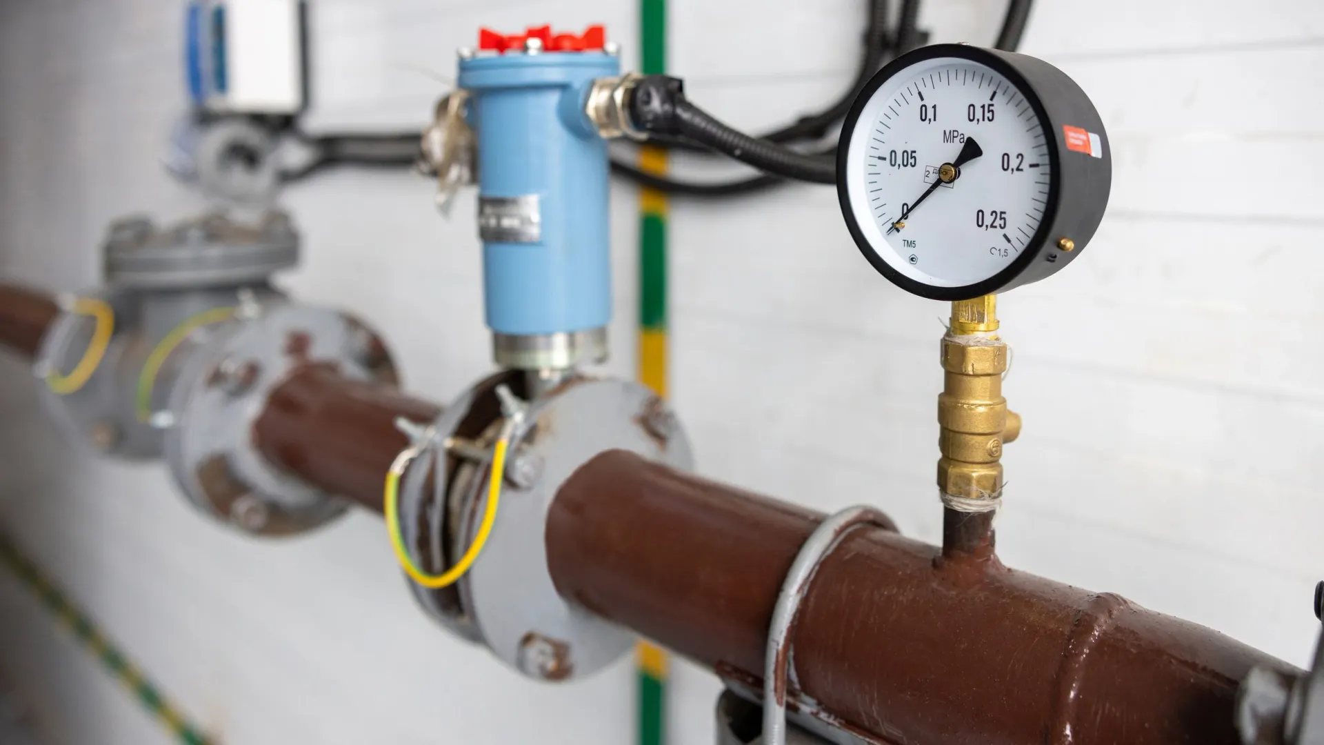 Фото: Федор Воронов / «Ямал-Медиа»