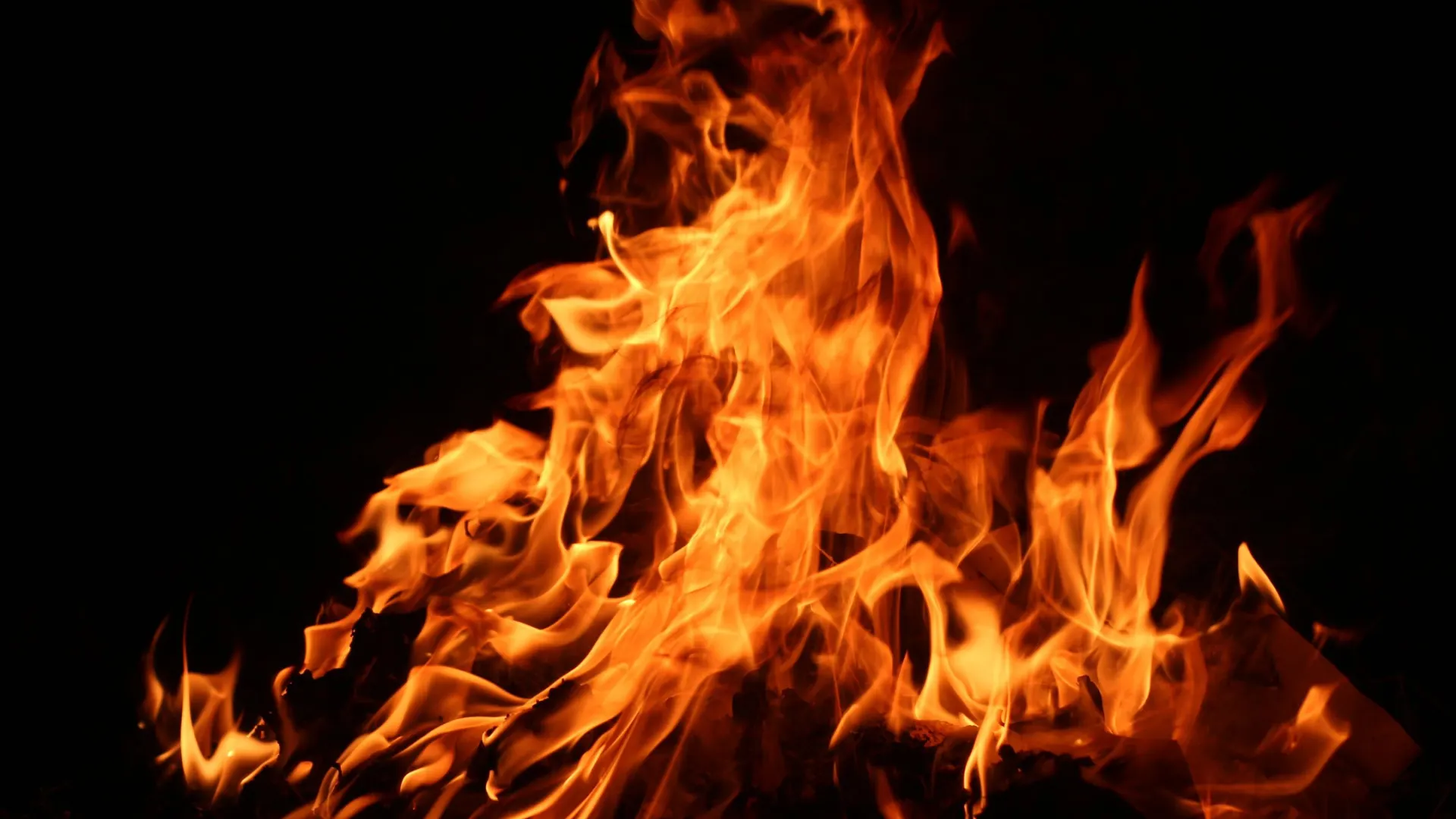 Фото: Artikom jumpamoon/Shutterstock/Fotodom