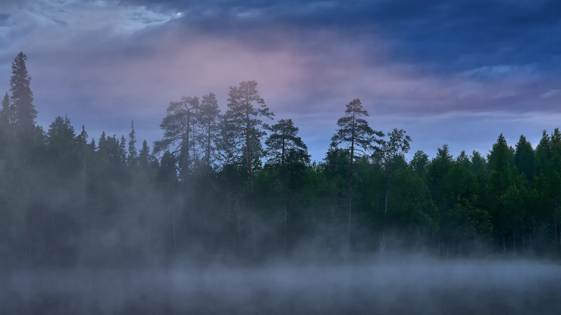 Фото: Ondrej Prosicky / Shutterstock / Fotodom
