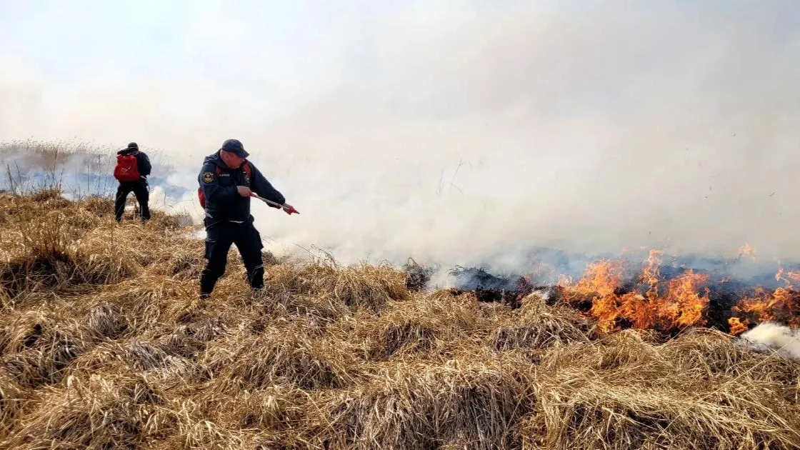 Фото предоставлено пресс-службой губернатора ЯНАО