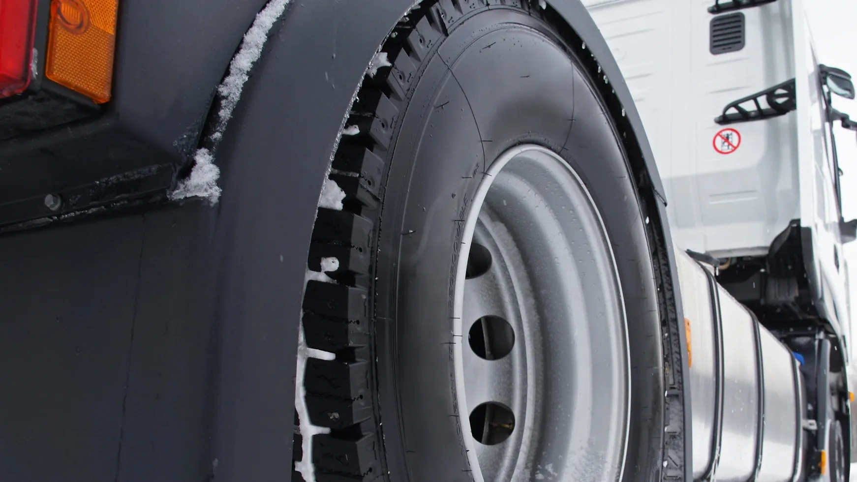 Фото: Vereshchagin Dmitry / Shutterstock / Fotodom