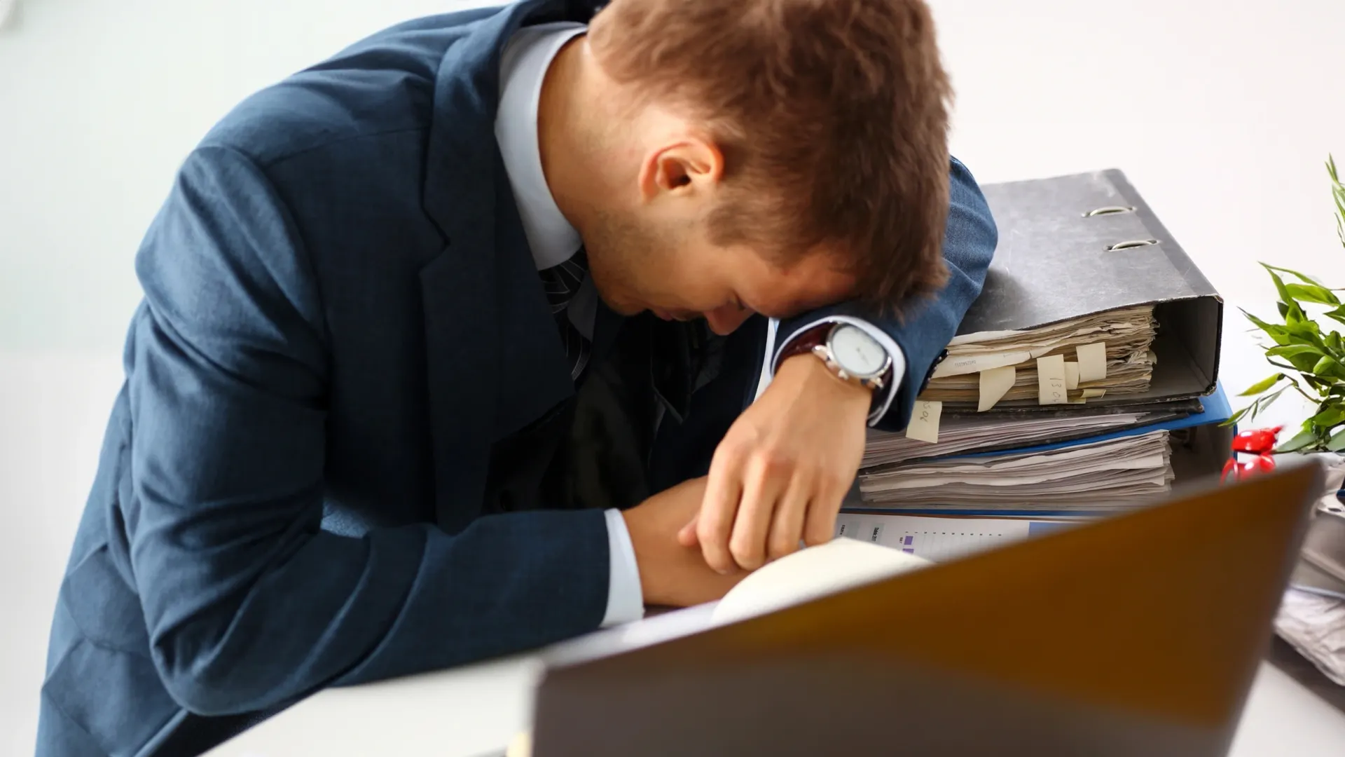 Фото: H_Ko/Shutterstock/Fotodom