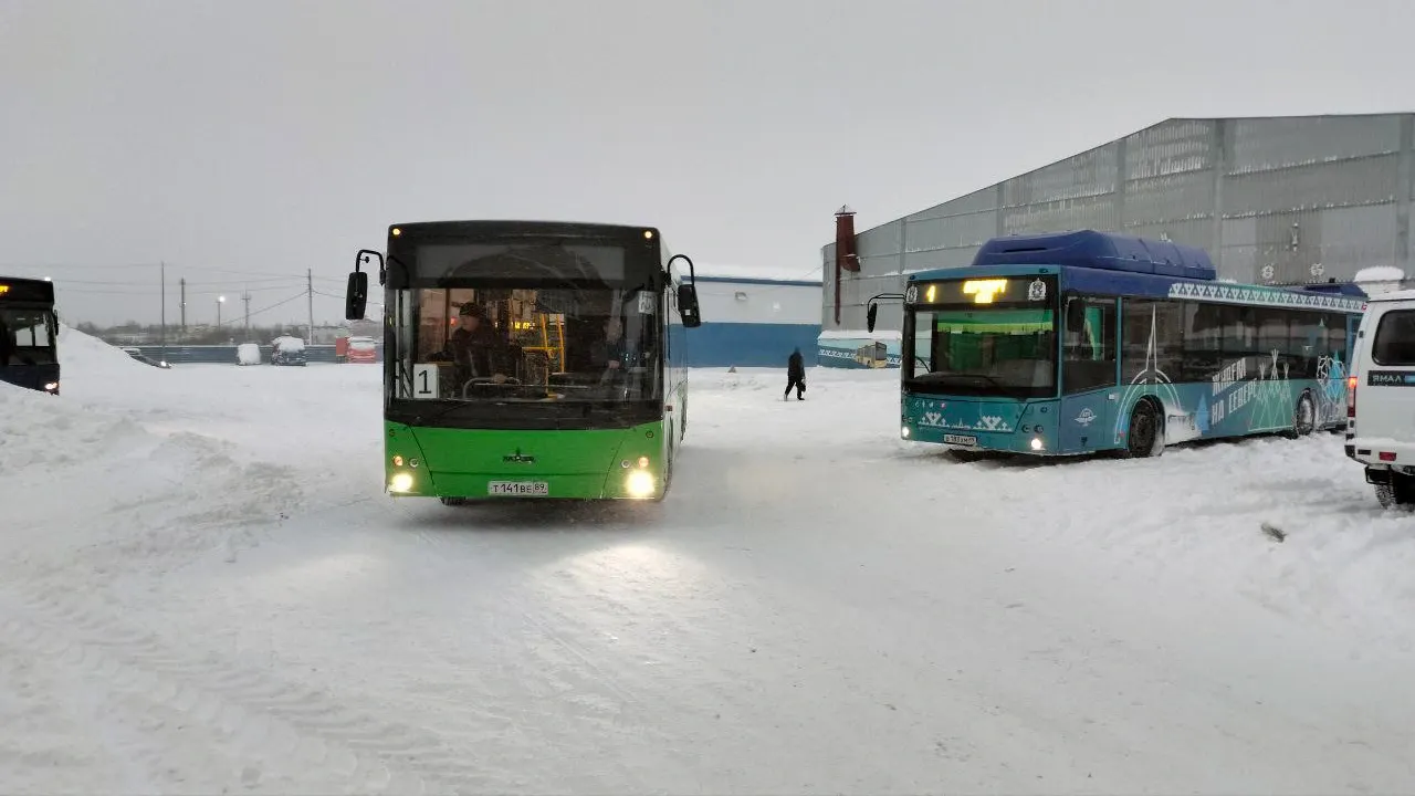 Фото: Владимир Ганчерко / «Ямал-Медиа»