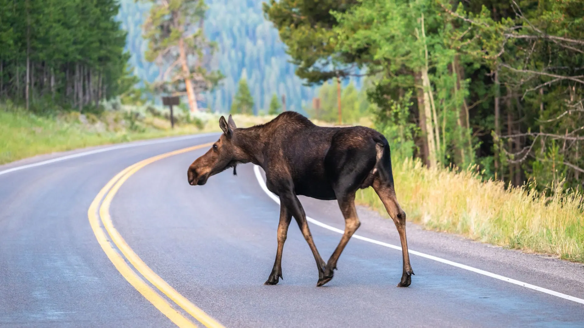 Фото: Kelly vanDellen / Shutterstock / Fotodom