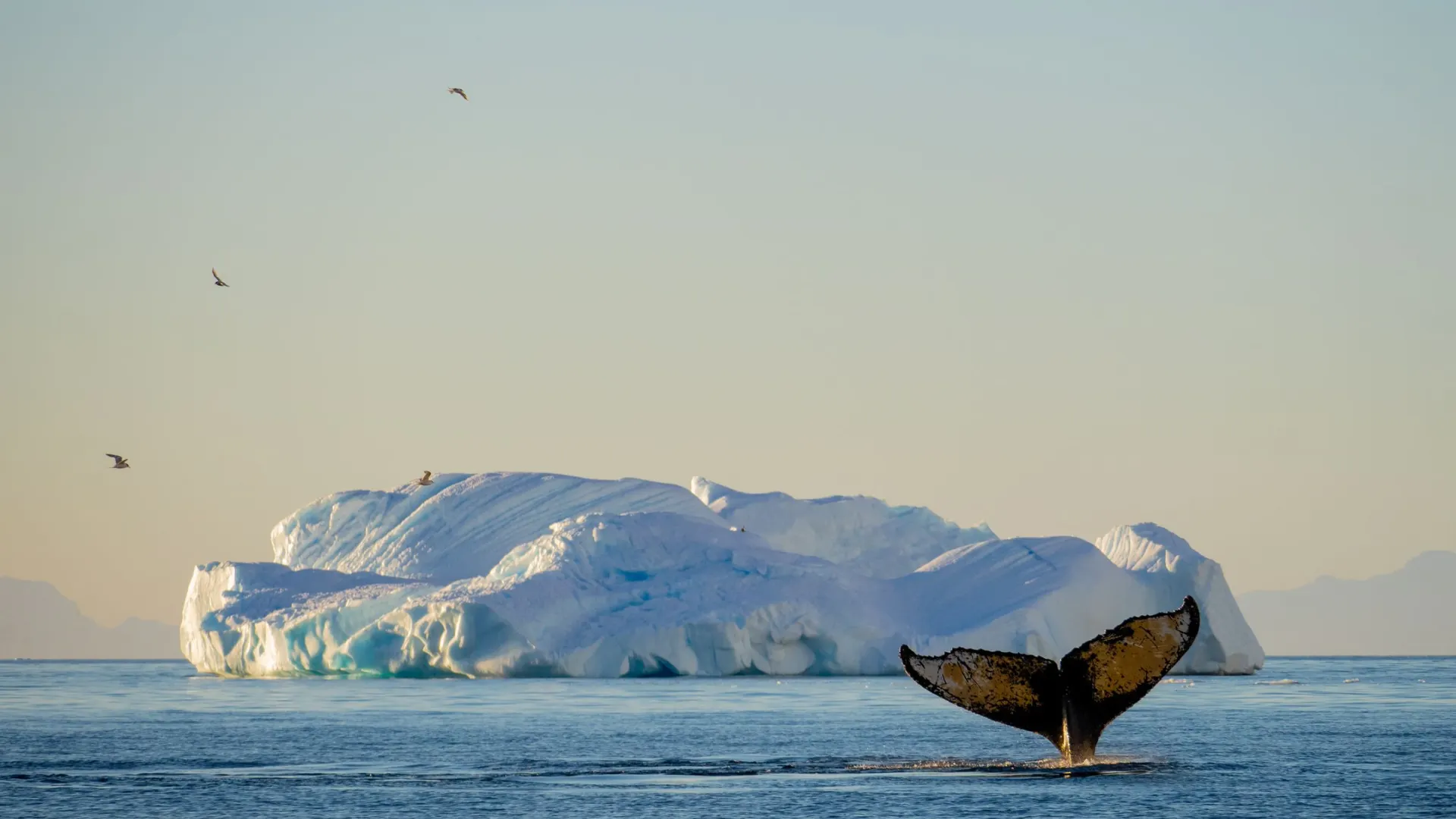 Фото: Jocelyn O/Shutterstock/Fotodom