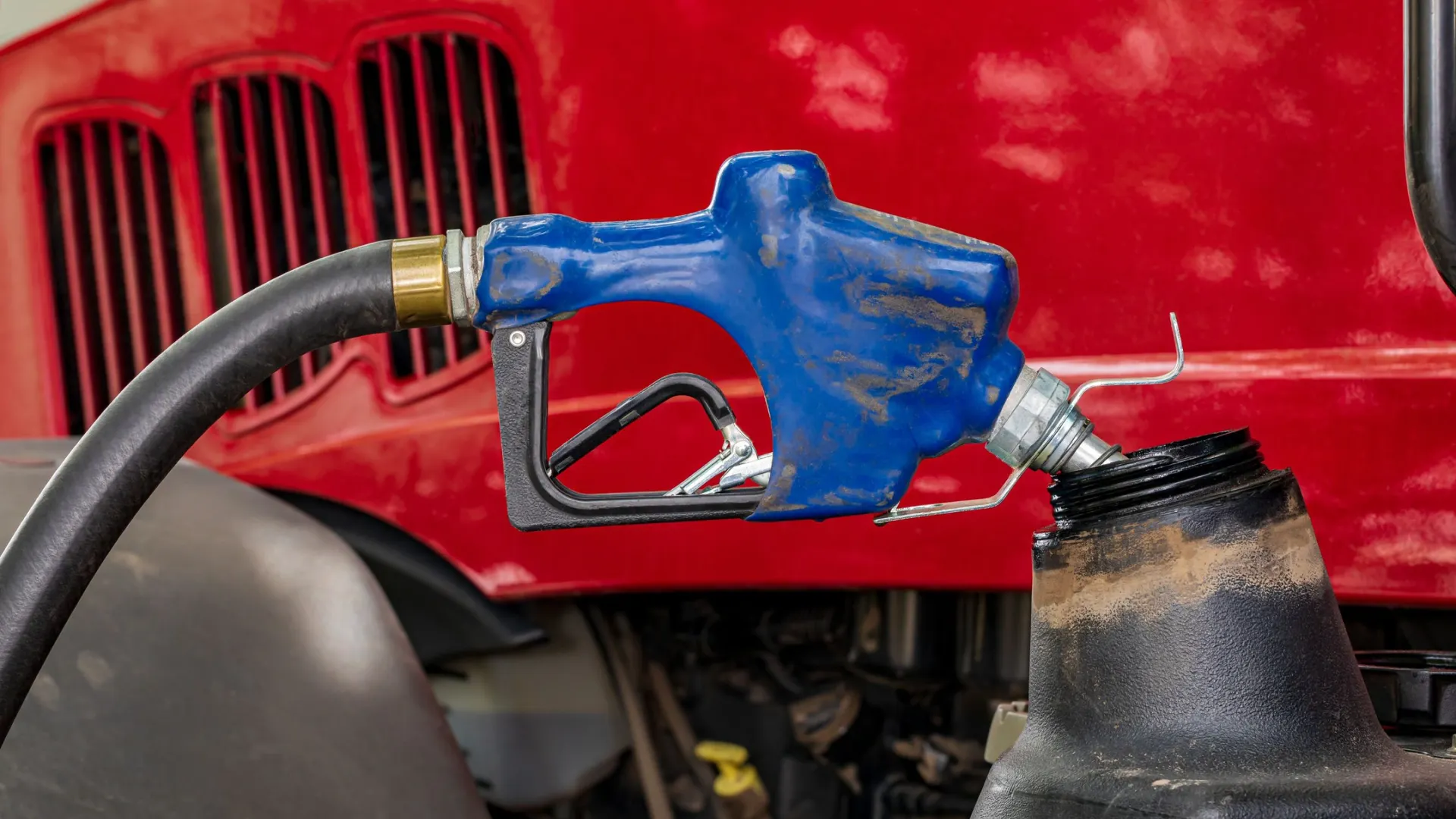 Фото J.J. Gouin / Shutterstock / Fotodom