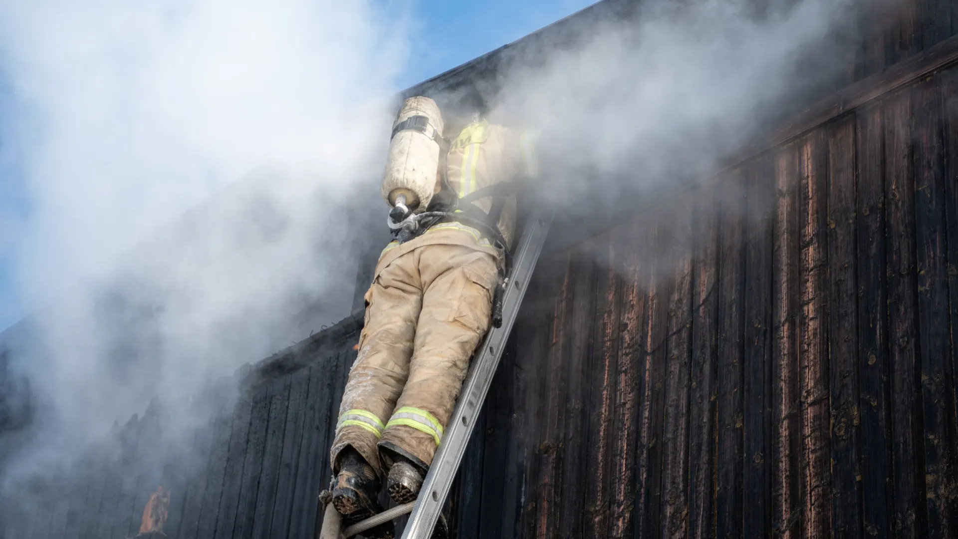 Фото: Юрий Здебский / «Ямал-Медиа»