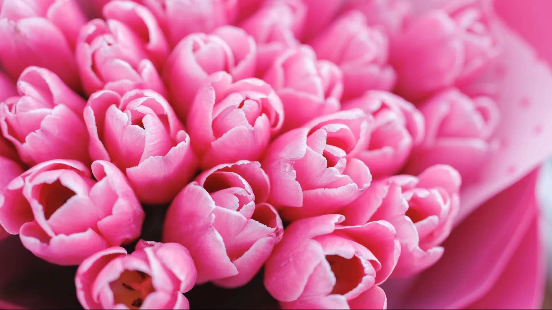 Международный женский день близко! Дорогие мужчины, не забудьте про цветы. Фото: Юлия Чудинова / «Ямал-Медиа»