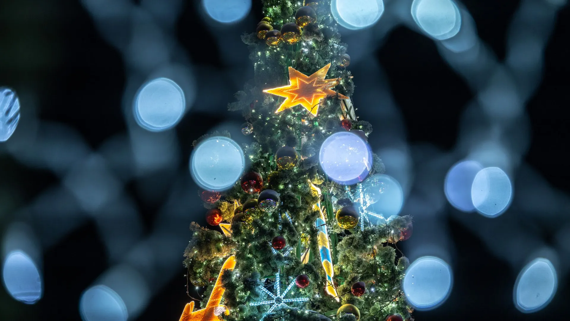 Фото: Федор Воронов / «Ямал-Медиа»