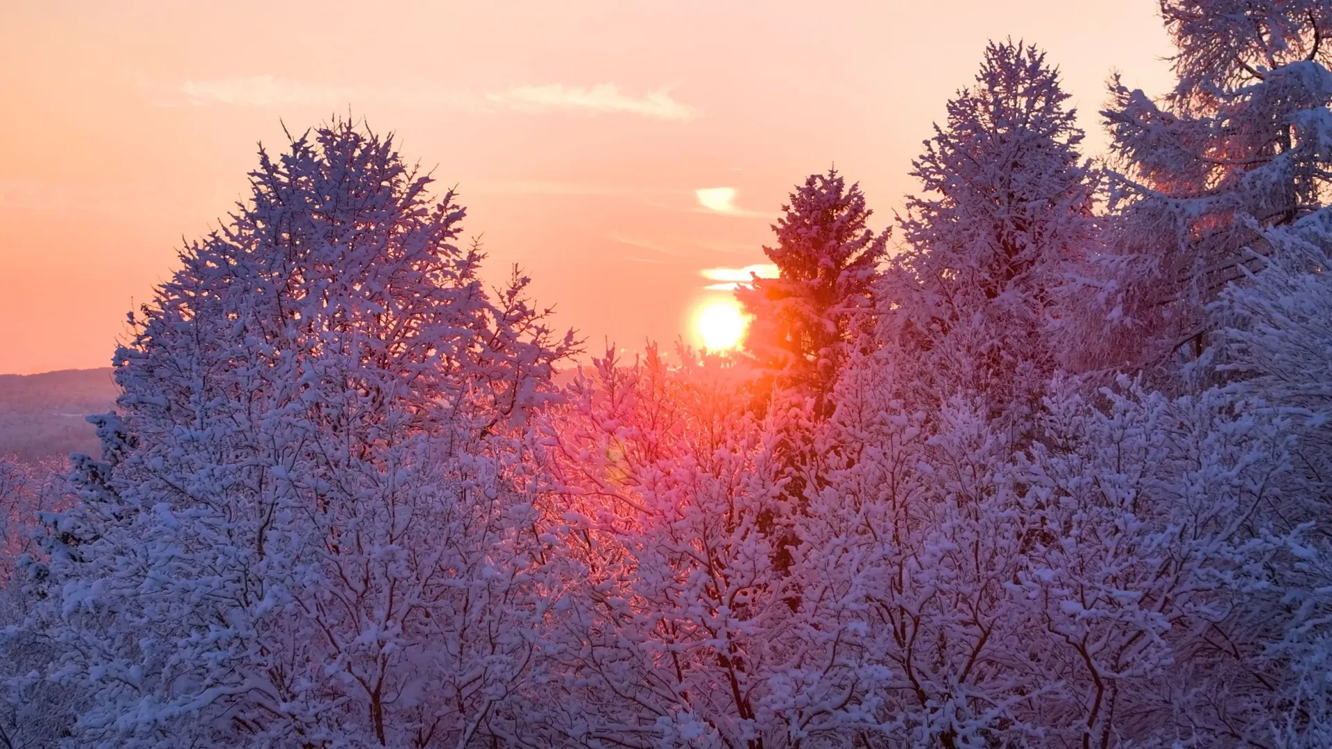 Фото: Flystock/Shutterstock/Fotodom