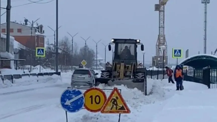 Фото: кадр видео t.me/Kolodin89/1149