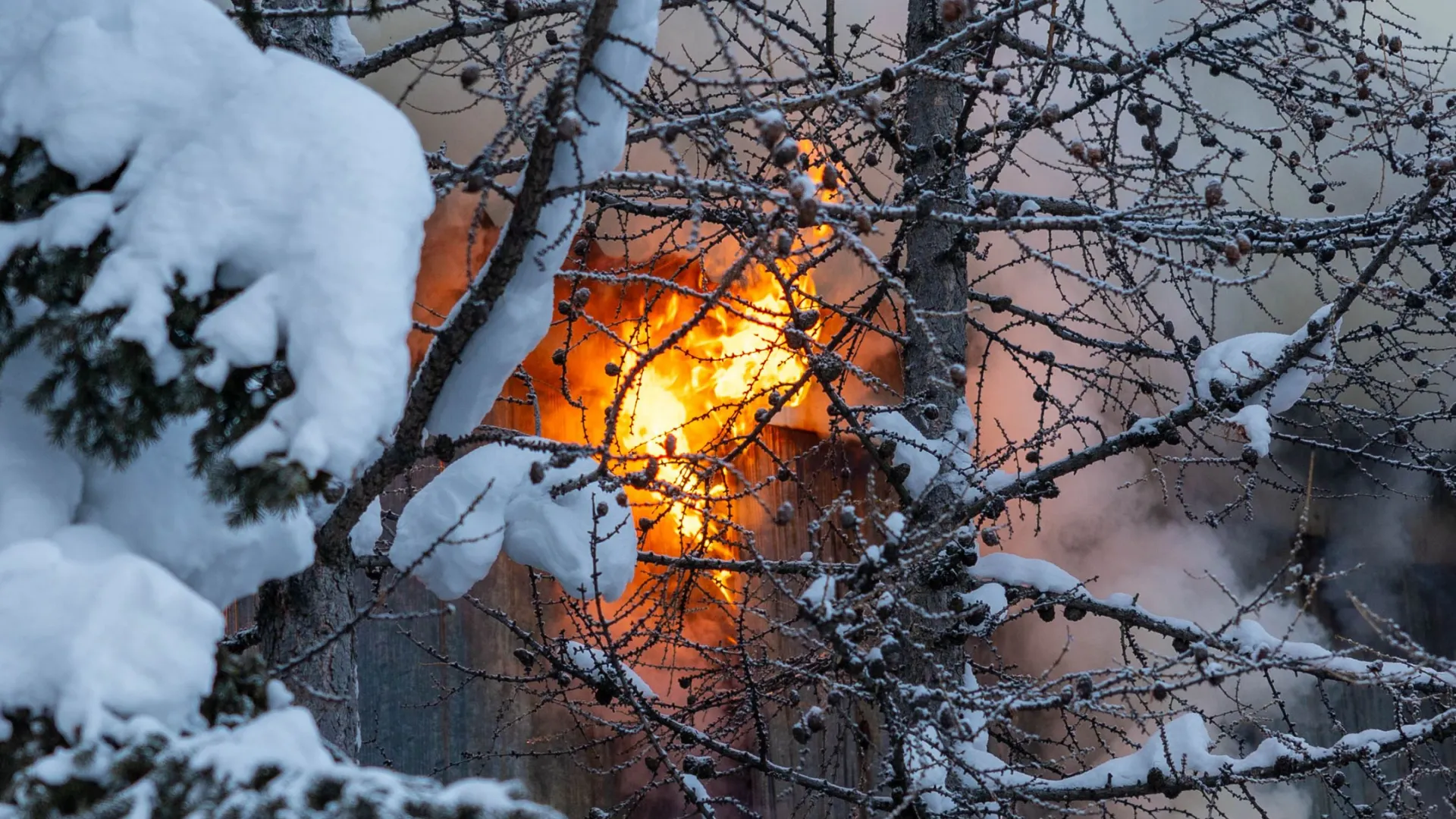 Фото: Александр Чирва / «Ямал-Медиа»