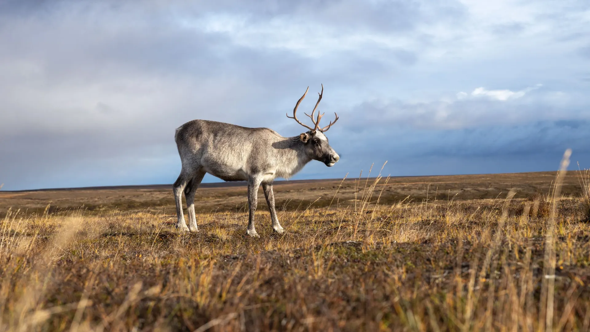 Фото: Федор Воронов / «Ямал-Медиа»