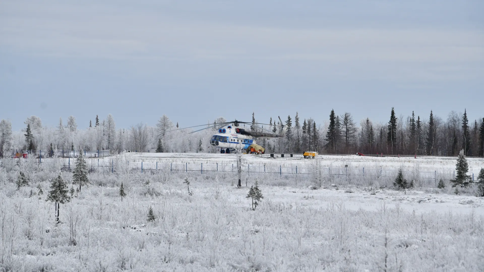 Фото: Андрей Ткачев / «Ямал-Медиа»