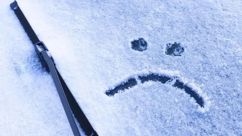 Фото: Natallia Ustsinava / Shutterstock / Fotodom