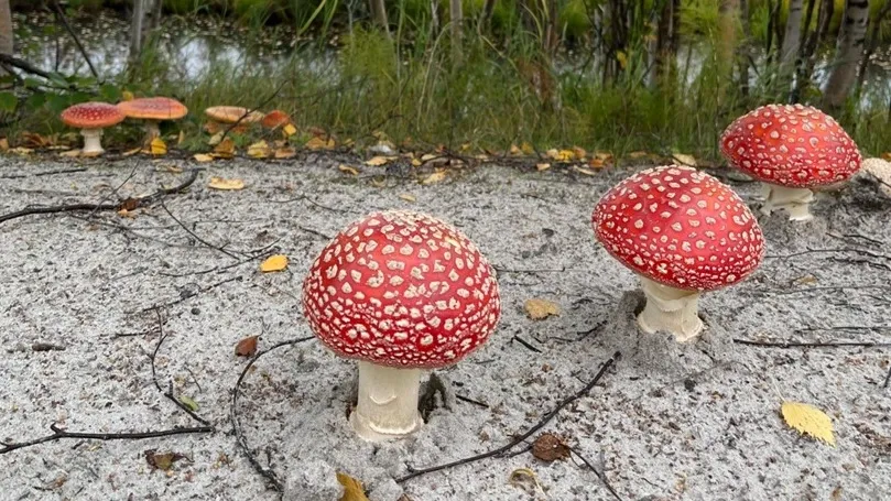 Фото предоставлено Анастасией Ивановой