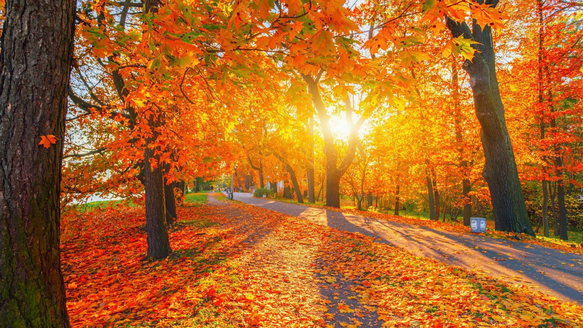 Фото: sun ok / Shutterstock / Fotodom