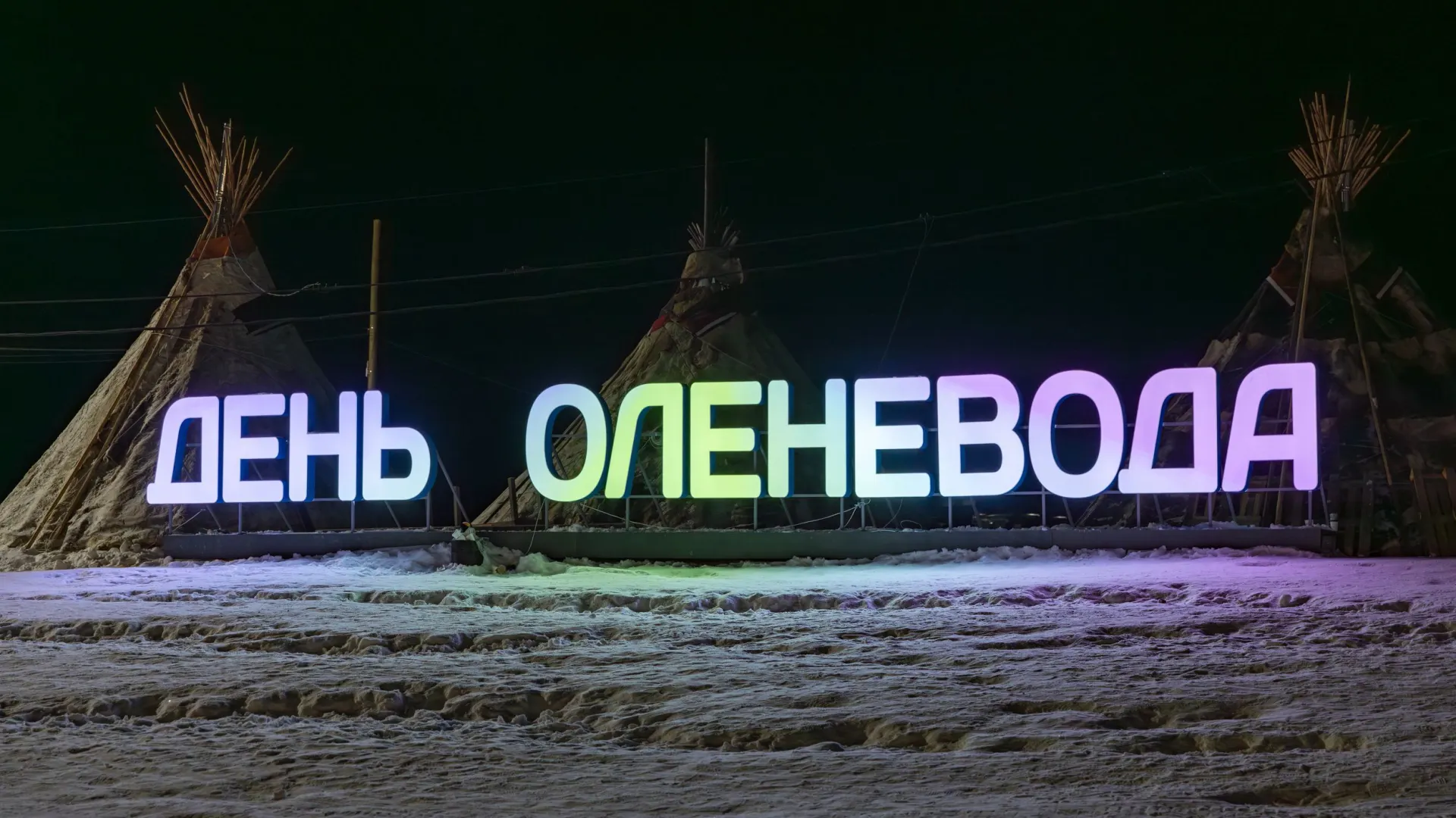 Фото: Федор Воронов / «Ямал-Медиа»