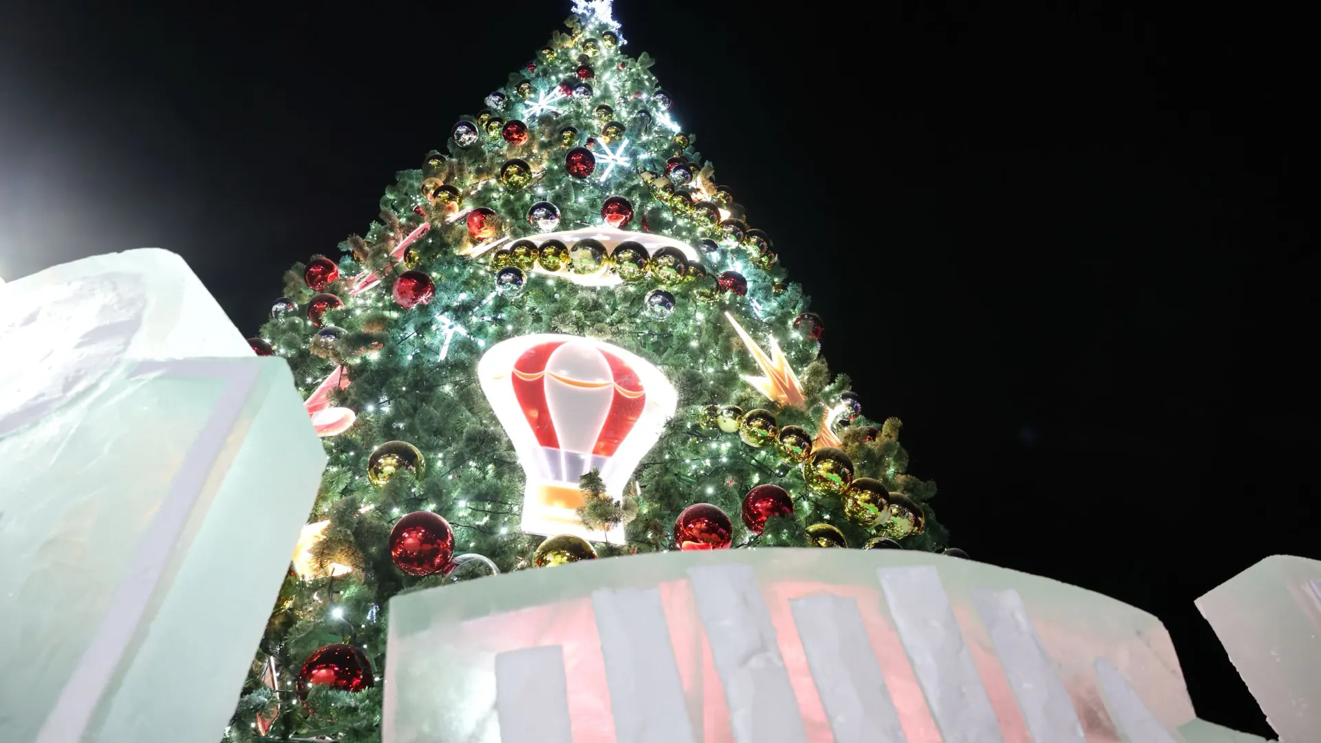 Фото: Андрей Ткачев / «Ямал-Медиа»