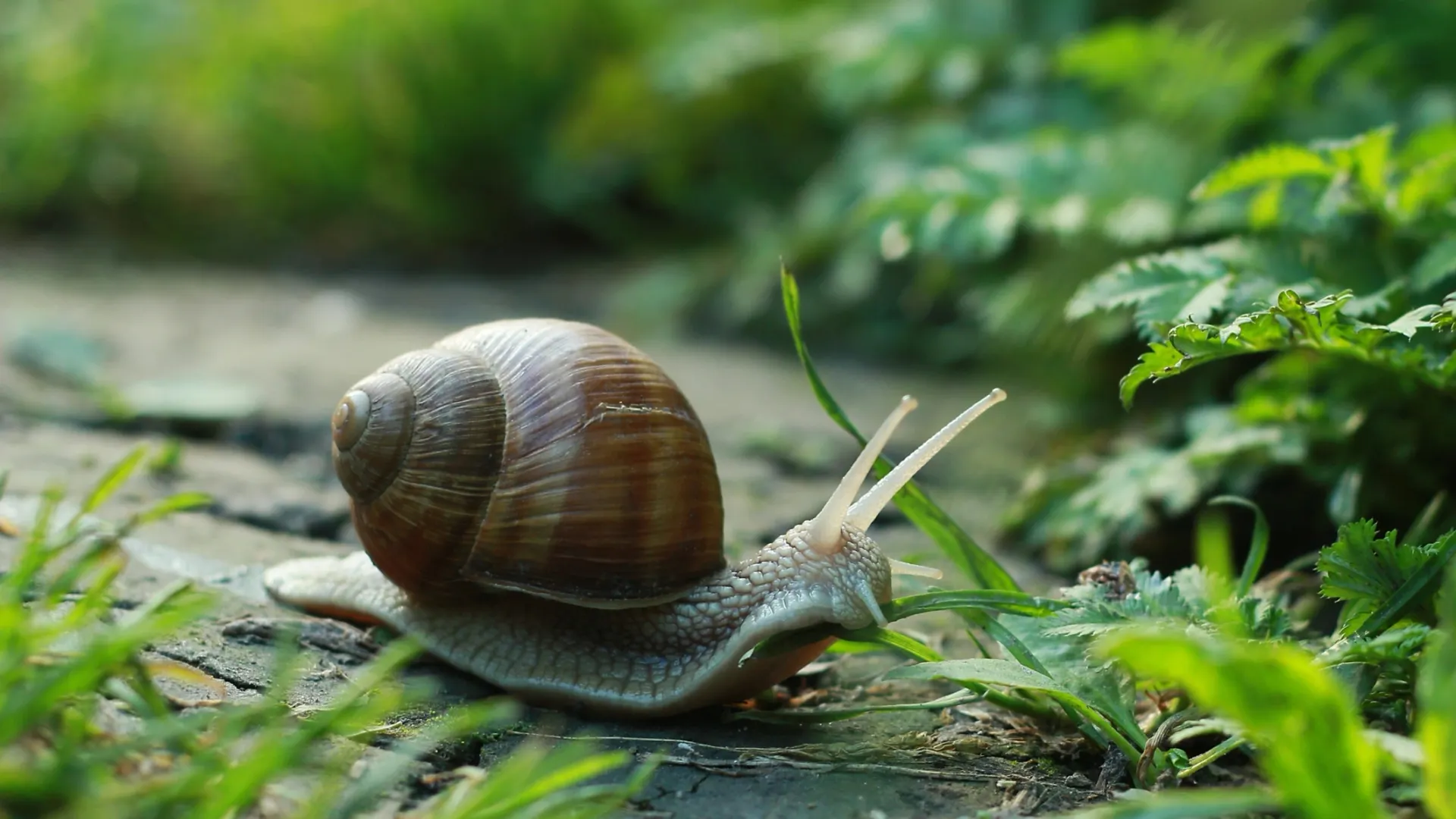 Фото: Zuzha/Shutterstock/Fotodom