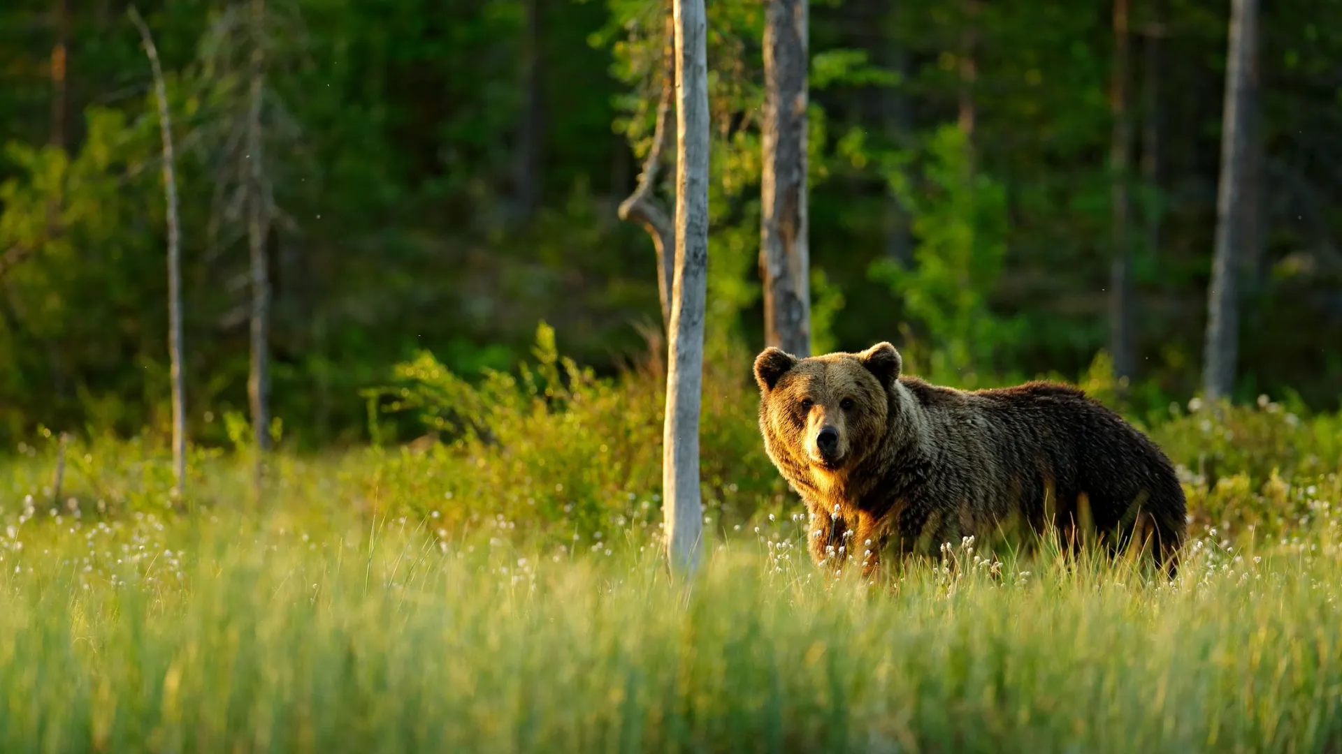 Фото: Ondrej Prosicky / Shutterstock / Fotodom