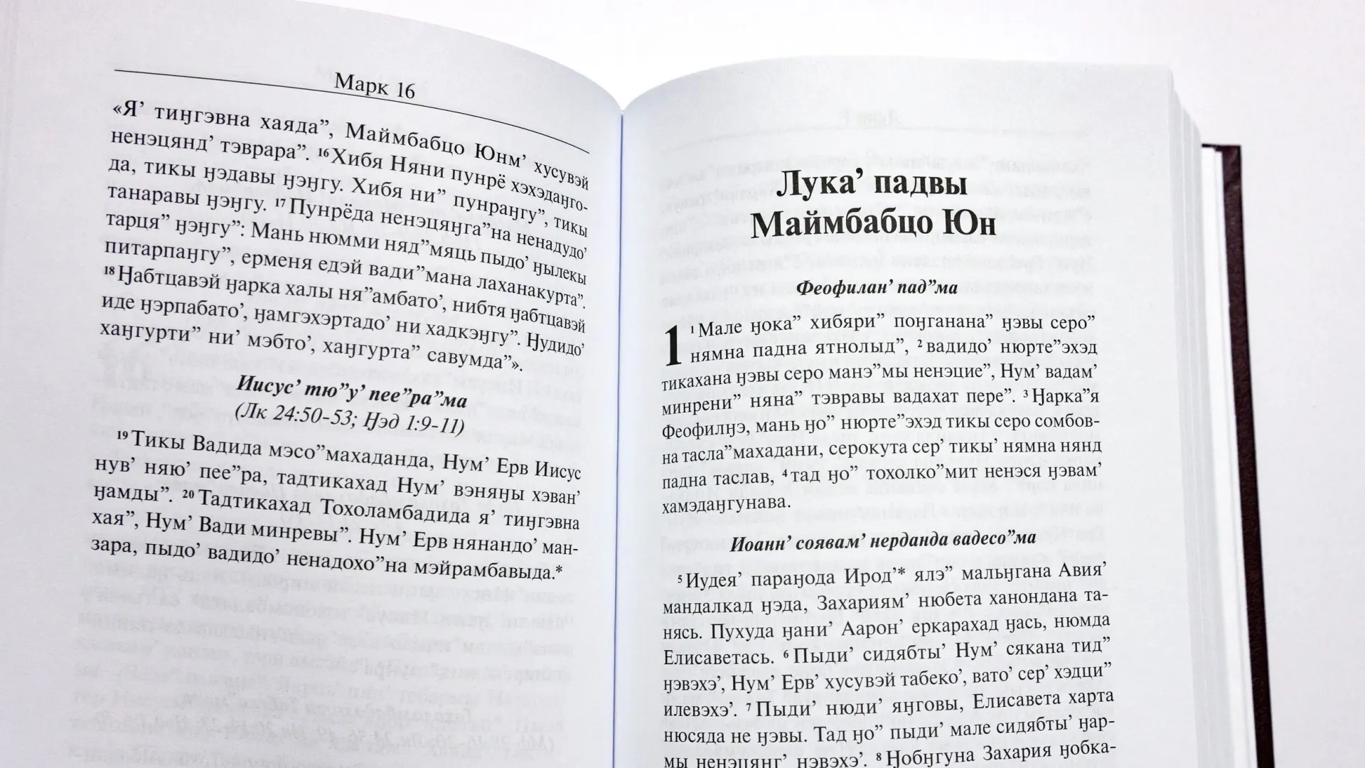 Фото: Федор Воронов / «Ямал-Медиа»