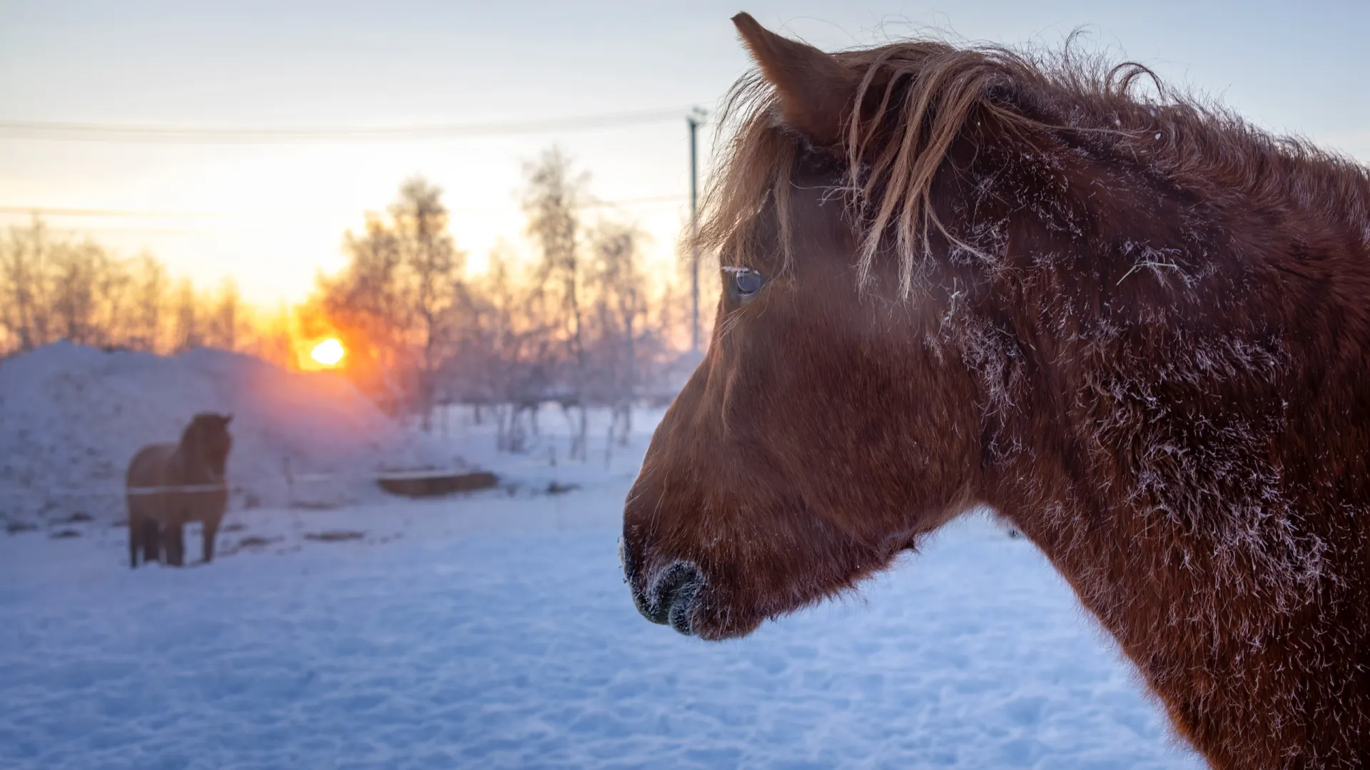 Фото: Федор Воронов / «Ямал-Медиа»
