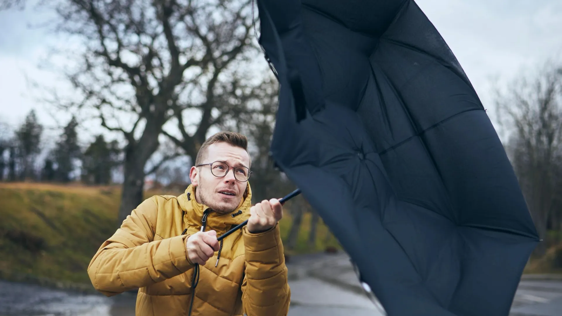 Фото: Jaromir Chalabala / Shutterstock / Fotodom