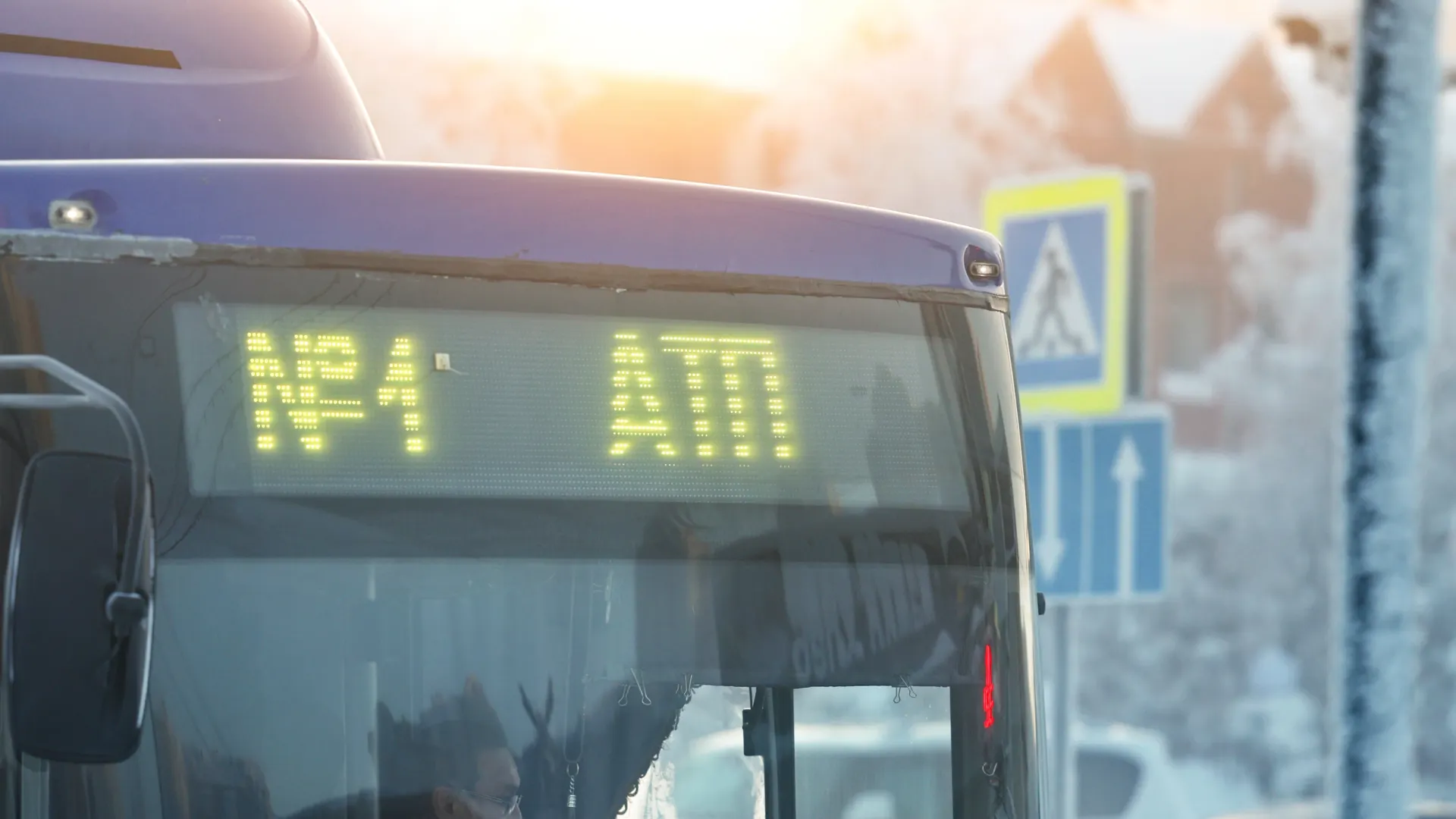 Фото: Андрей Ткачев / «Ямал-Медиа»