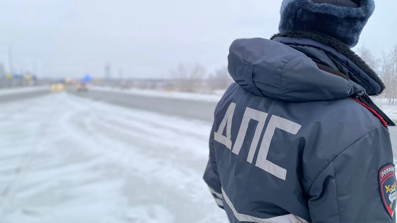 Фото: Роман Земсков/«Север-Пресс»