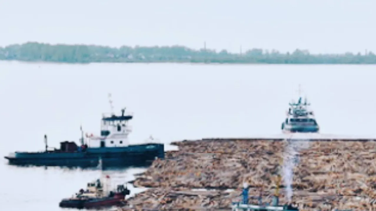 На реке Пур ржавеет теплоход «Красноборск». Фото: 