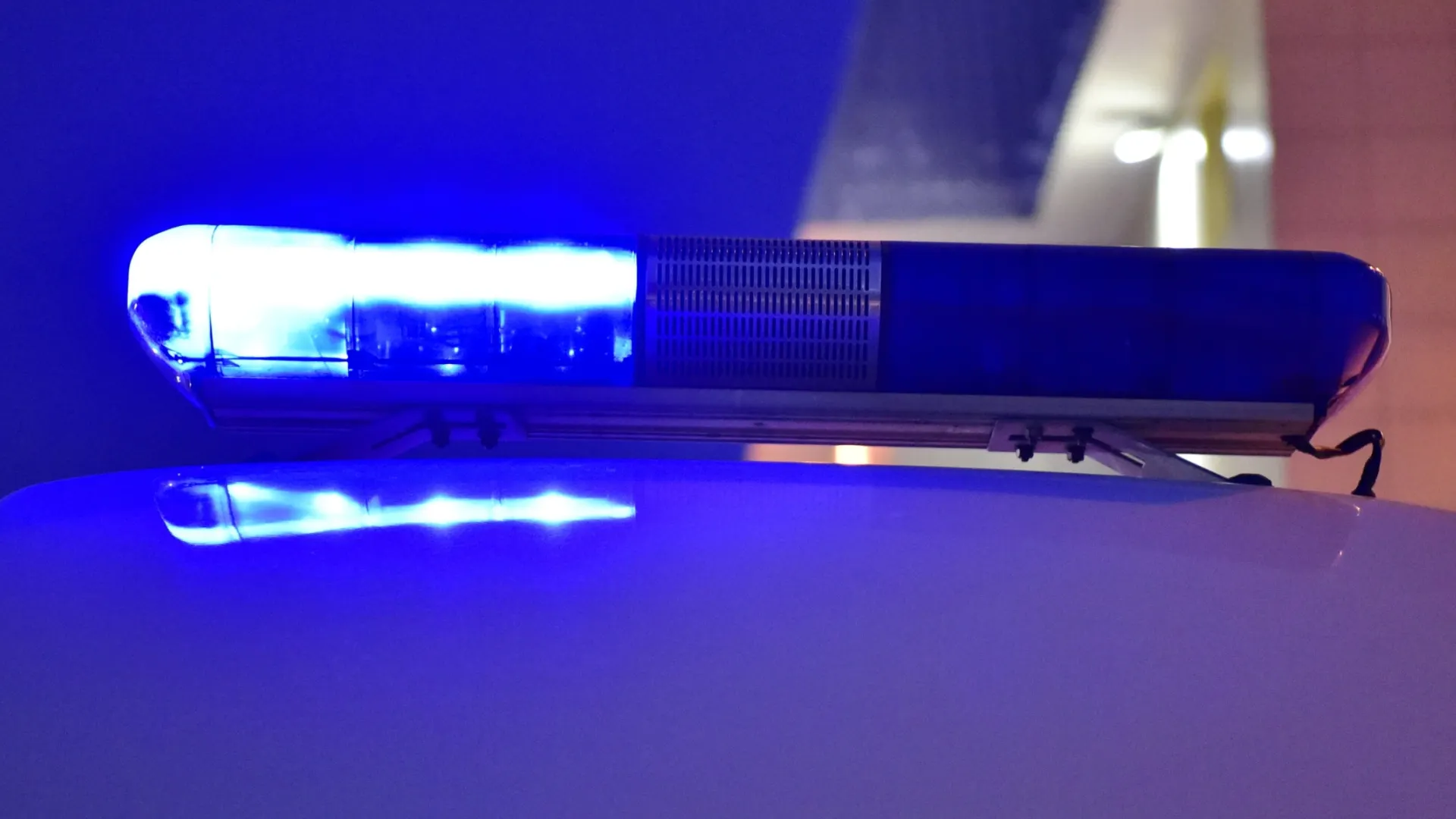 фото: Андрей Ткачев/"Ямал-Медиа"