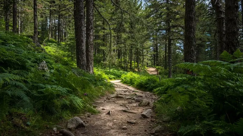 Фото: Ondrej Zeleznik / Shutterstock / Fotodom