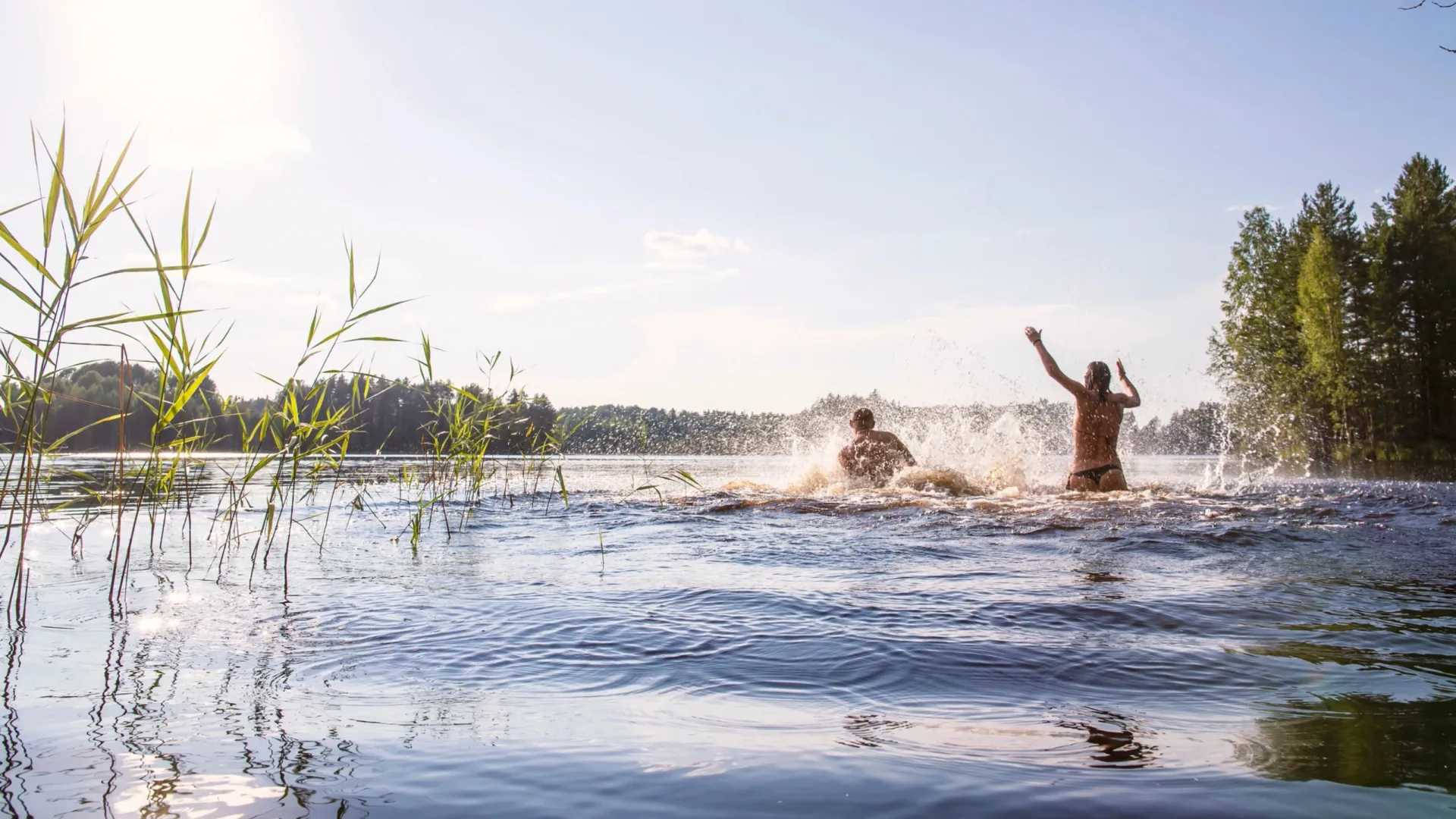 Фото: Koldunov Alexey / Shutterstock / Fotodom